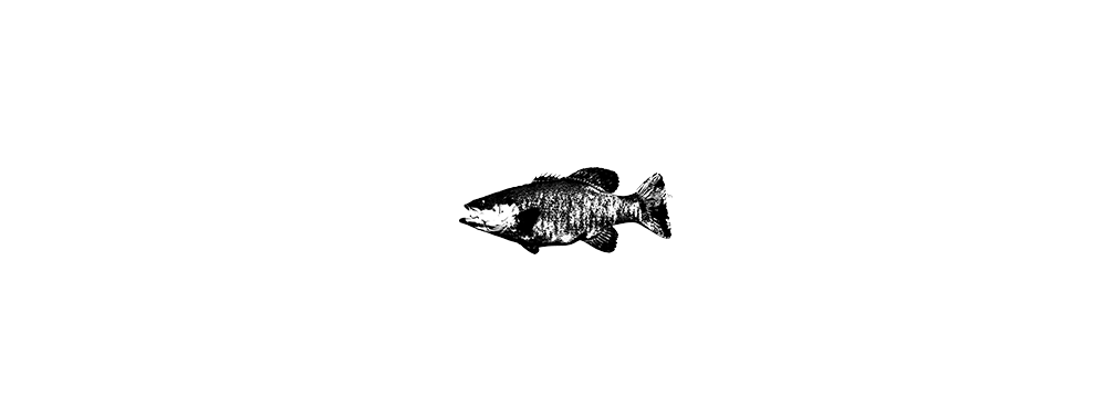 LMLMedia